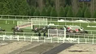 2012 Hennessy Gold Cup Chase - Bobs Worth
