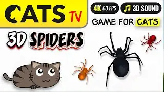 CAT TV - Fast spiders for CATS 🙀🕷️ bug cat games 😻📺 [4K]