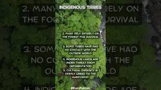 Facts about the Rain Forest Pt.8 #shorts #facts #forest #nature