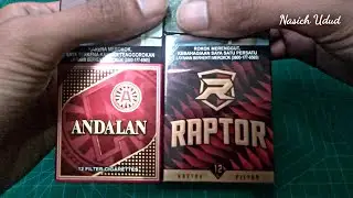 ANDALAN FLTR Vs RAPTOR FLTR