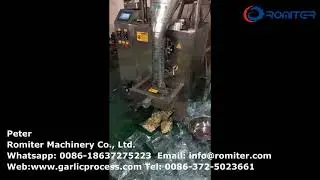 Full Automatic Garlic Clove Packing Machine