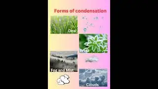 Digital Chart- Forms of condensation