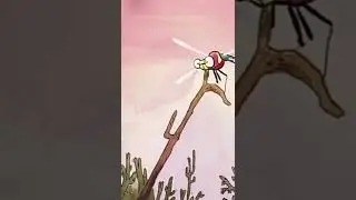 Roca solitaria