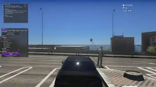 Assetto Setup Runs