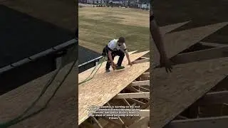 Expert Carpenter at Work