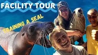 Dolphin Marine conservation park TOUR: The Wildlife Twins