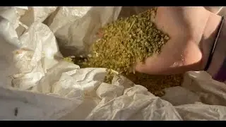 Fresh Milled Grain 100 Miles Away | Was It Worth It?