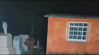 Nad oficial está en vivo