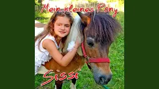 Mein kleines Pony