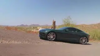 Arrowhead Jaguar - Evergreen 2025