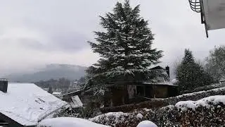 Heidelberg Snow 2021