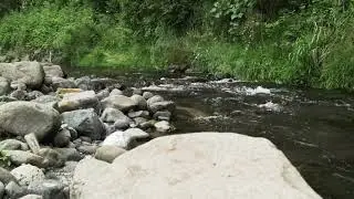4K Nature's Serenade: Meditate to the Murmurs of a Tranquil Stream