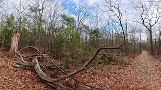 Finding Frog Rock: The Forgotten Tourist Trap of 1900 (New Boston, NH)