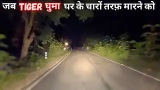 Night Drive Jim Corbett National Park | Tiger Attack Dhikala Forest | Wildlife Stories | Maneater
