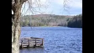 Gilbert Lake State Park NY.