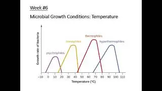 Week 6 Microbial Growth Conditions   Temperature