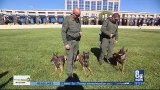 ONLY ON 8: New members of NLV Police Pack prepare for 'K-9 Trials'