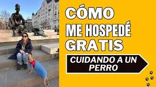 C&oacute;mo me hosped&eacute; GRATIS cuidando un perro 🐶 (Trusted House sitters) HONESTA REVIEW