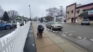 Ruger | 6 month old Silver Lab | Off Leash k9 Training