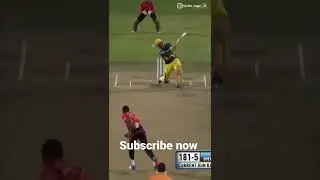 Tara laya #underelass#cricket #pbks #love
