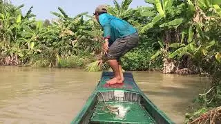 Cast Net Fishing in a Pond [ Vietnam ]