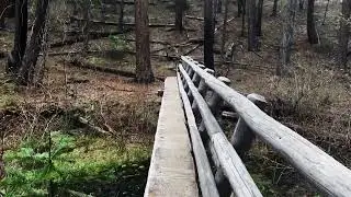 (4K UHD) HIKING HIGHLIGHTS - West Metolius River Trail in Spring - Candle Creek to Rustic Log Bridge