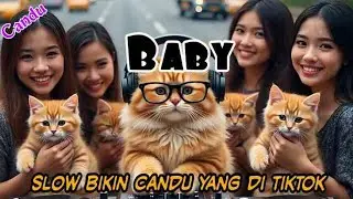 DJ BABY - CLEAN BANDIT SLOW CANDU YANG DI TIKTOK BY YANZ TUBE