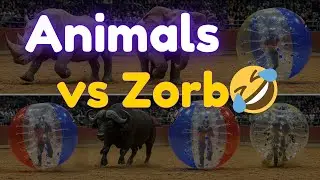 You&rsquo;ve Never Seen a Rodeo Like THIS! (Animals vs Bubble Ball)