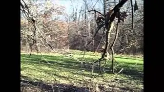 Tate Co MS 42 825 ac  Deer and Turkey Huntiung Land