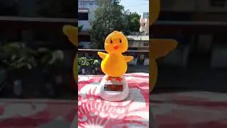 🐥Dancing Duck 🐥....  The Cupcake song😘 #SolarToy#Dancingduck#cupcakesong#cuteduck#cutevideo🐥🐥