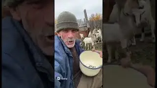 Нестле з молоком #funnyvideo #funny #ai #comedy #granny #humor #прикол #штучнийінтелект #memes