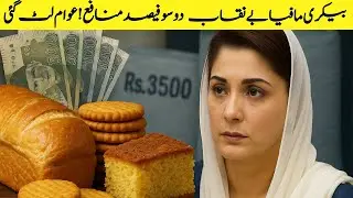 Bakery Mafia Exposed Flour Prices Drop, Bakery Profits Soar!