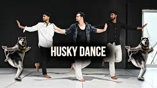 Husky Dance 😂 | Ichu Ichu Song | Husky Viral Dance  Video | Reels Trending Dance | | #dance Tutorial