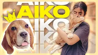 AIKO's 1st Birthday - HEARTWARMING Surprise!!  | THE MOST LOVED CHILD | 4K VLOG | SAYONBIZ