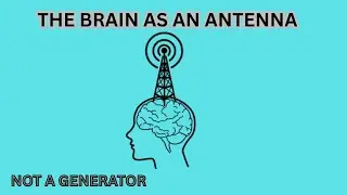 The Brain Is an Antenna, Not the Source of Consciousness