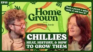 Chilli Growers Guide: Heat, History, & How to Grow them successfully!