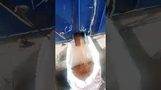 Solar powered wheat cleaner #solar #engineering #flour #food #attachakki #floor #machine #solarmotor