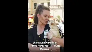 Давайте ЗНАКОМИТЬСЯ ) Меня зовут Марина Белкина. Я владелец питомника РКФ 