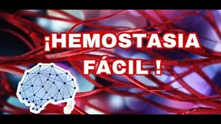 ¡Hemostasia Primaria fácil!