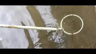 Création d'une passe à poisson - ex-usine St Michel à Amiens