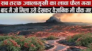 ज्वालामुखी की राख से उग गए टमाटर और वाइन।