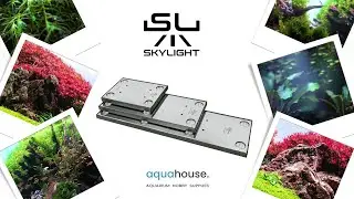 SKYLIGHT HYPERSPOT - Premium Freshwater Aquarium LED Light