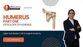 Humerus Part 1 | Osteology of Humerus | Upper End, Rotator Cuff & Surgical Anatomy