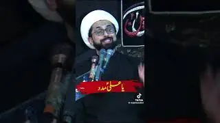WHAT IS THE MEANING OF YA ALI MADAD BRIEFING ALLAMA TAQI MHEDVI QEBLA