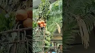 வேலவா வெற்றி வேலவா #trending #today #tamil #sharing #nellaimohan