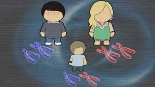 P&iacute;lulas de Ci&ecirc;ncia: Teste de DNA