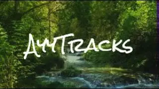Abstract - Neverland (ft Ruth B) (Prod Blulake) AyyTracks