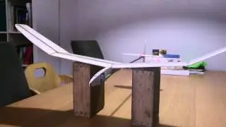 Freeflight DLG dethermalizer