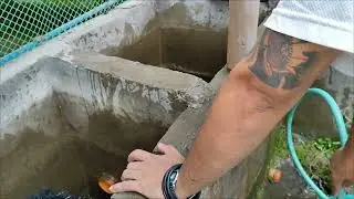 cleaning my crayfish pond filtration system