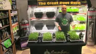 The Great Root Race 30 Day Time Lapse Product Testing And Comparison